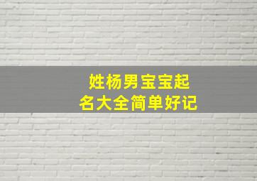 姓杨男宝宝起名大全简单好记