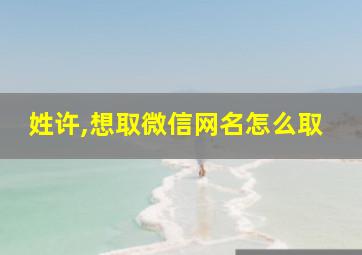 姓许,想取微信网名怎么取