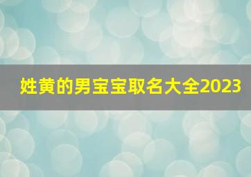 姓黄的男宝宝取名大全2023