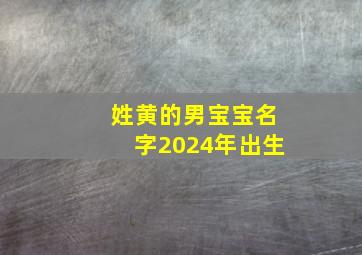 姓黄的男宝宝名字2024年出生