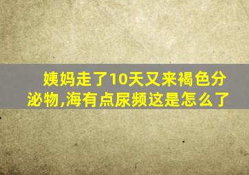 姨妈走了10天又来褐色分泌物,海有点尿频这是怎么了