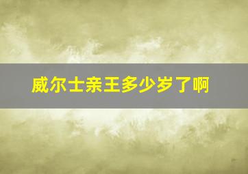 威尔士亲王多少岁了啊