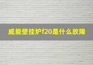 威能壁挂炉f20是什么故障