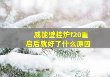 威能壁挂炉f20重启后就好了什么原因