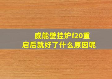 威能壁挂炉f20重启后就好了什么原因呢