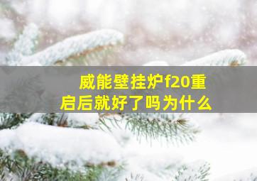 威能壁挂炉f20重启后就好了吗为什么