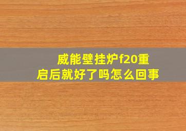 威能壁挂炉f20重启后就好了吗怎么回事