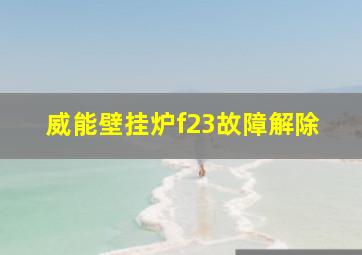 威能壁挂炉f23故障解除