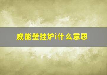 威能壁挂炉i什么意思