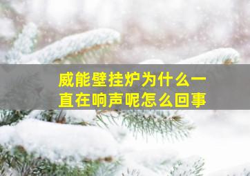 威能壁挂炉为什么一直在响声呢怎么回事