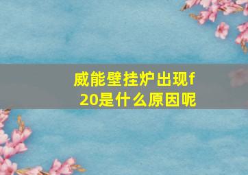 威能壁挂炉出现f20是什么原因呢