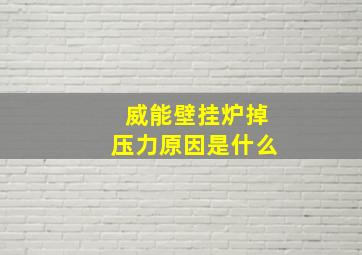 威能壁挂炉掉压力原因是什么