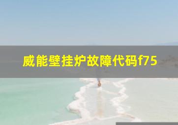 威能壁挂炉故障代码f75