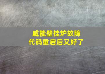 威能壁挂炉故障代码重启后又好了