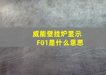 威能壁挂炉显示F01是什么意思