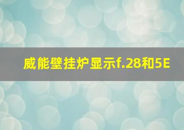 威能壁挂炉显示f.28和5E