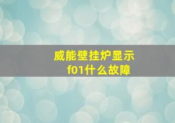 威能壁挂炉显示f01什么故障