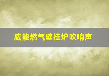 威能燃气壁挂炉吹哨声