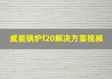 威能锅炉f20解决方案视频