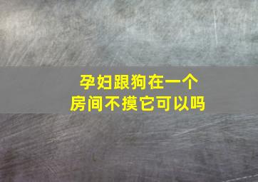 孕妇跟狗在一个房间不摸它可以吗