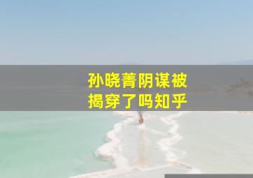 孙晓菁阴谋被揭穿了吗知乎