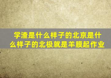 学渣是什么样子的北京是什么样子的北极就是羊膜起作业