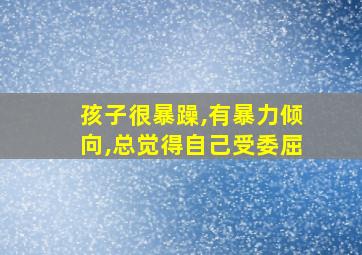 孩子很暴躁,有暴力倾向,总觉得自己受委屈