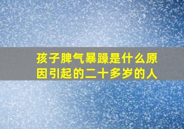 孩子脾气暴躁是什么原因引起的二十多岁的人