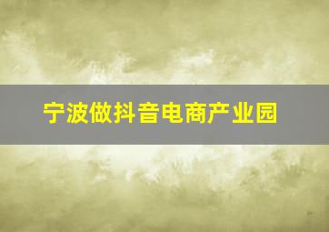 宁波做抖音电商产业园