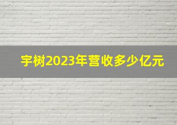 宇树2023年营收多少亿元