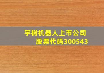 宇树机器人上市公司股票代码300543