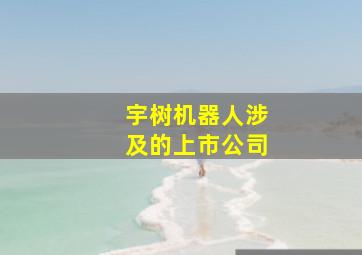 宇树机器人涉及的上市公司