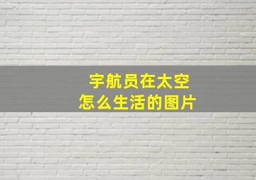 宇航员在太空怎么生活的图片