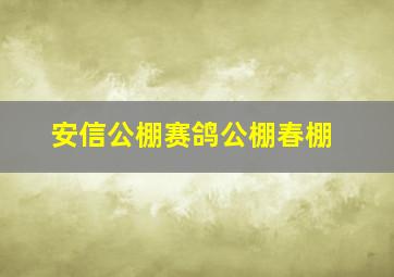 安信公棚赛鸽公棚春棚