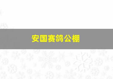 安国赛鸽公棚