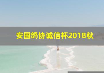 安国鸽协诚信杯2018秋