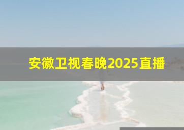 安徽卫视春晚2025直播