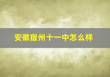 安徽宿州十一中怎么样