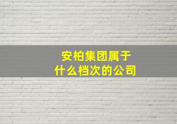 安柏集团属于什么档次的公司