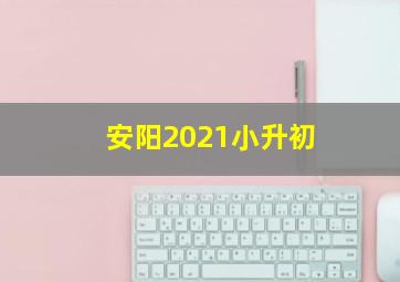 安阳2021小升初