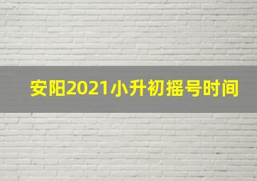 安阳2021小升初摇号时间