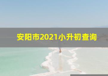 安阳市2021小升初查询