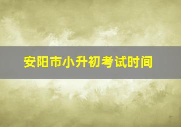 安阳市小升初考试时间