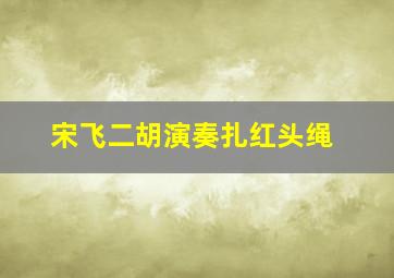 宋飞二胡演奏扎红头绳