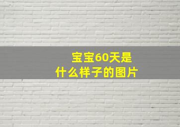 宝宝60天是什么样子的图片