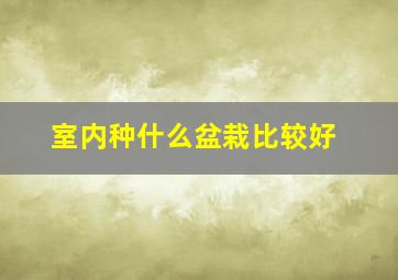 室内种什么盆栽比较好