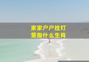 家家户户挂灯笼指什么生肖