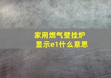 家用燃气壁挂炉显示e1什么意思