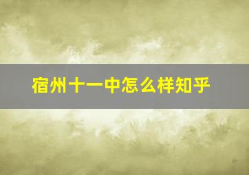 宿州十一中怎么样知乎