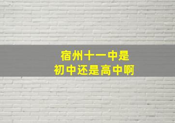 宿州十一中是初中还是高中啊